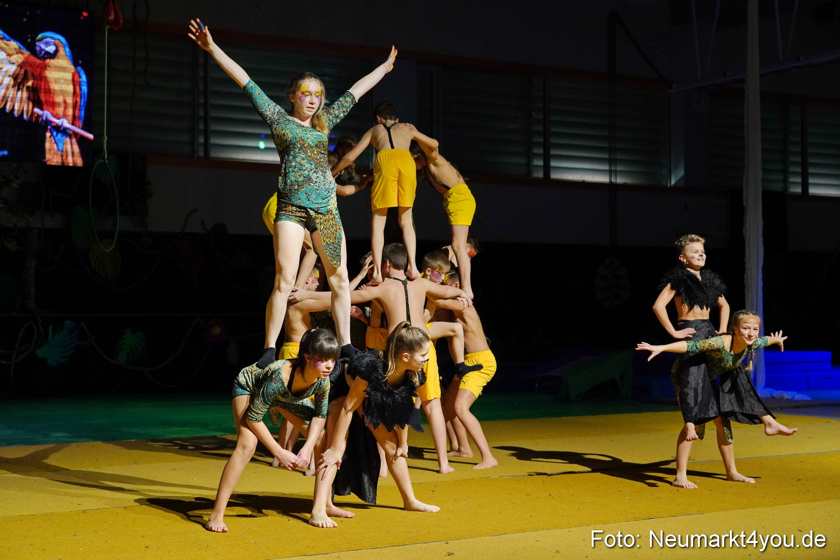 Artico Artistical Dschungelbuch 2020 0137